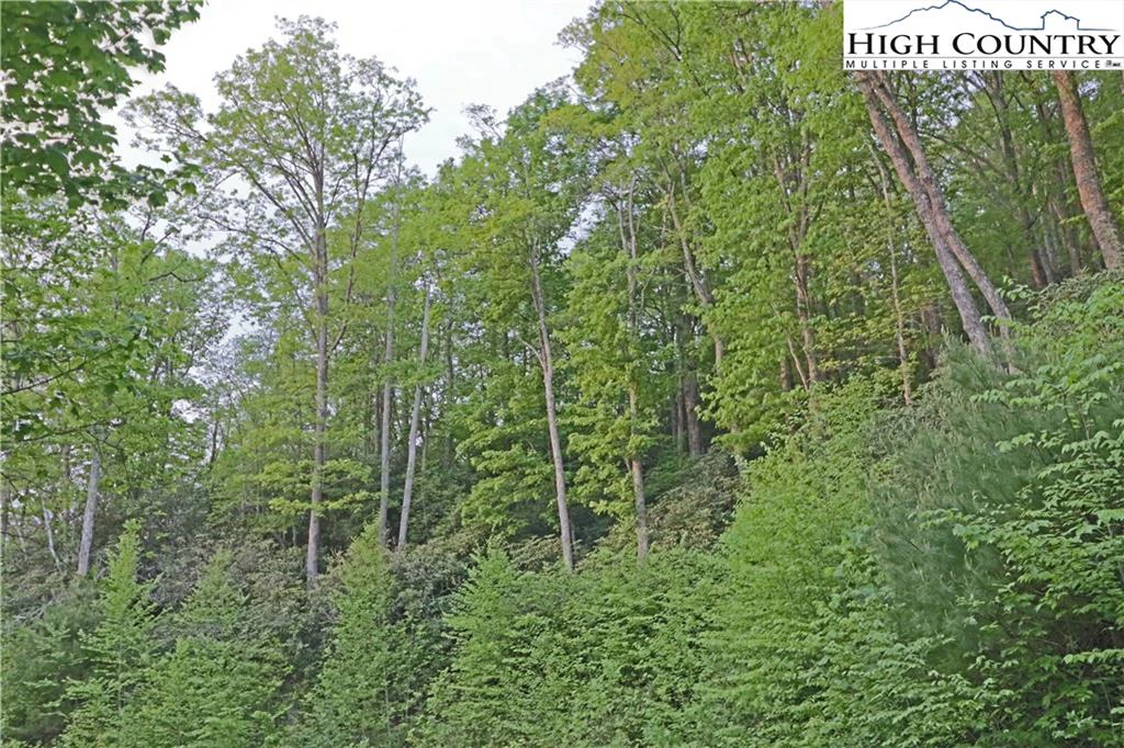 Image number 18 for the current listing