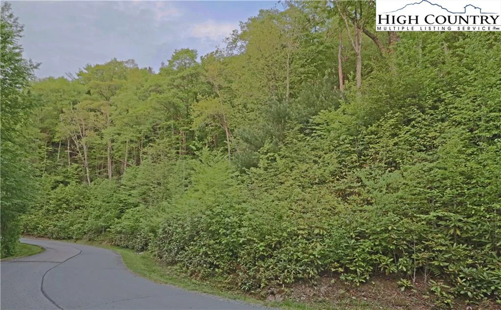 Image number 17 for the current listing