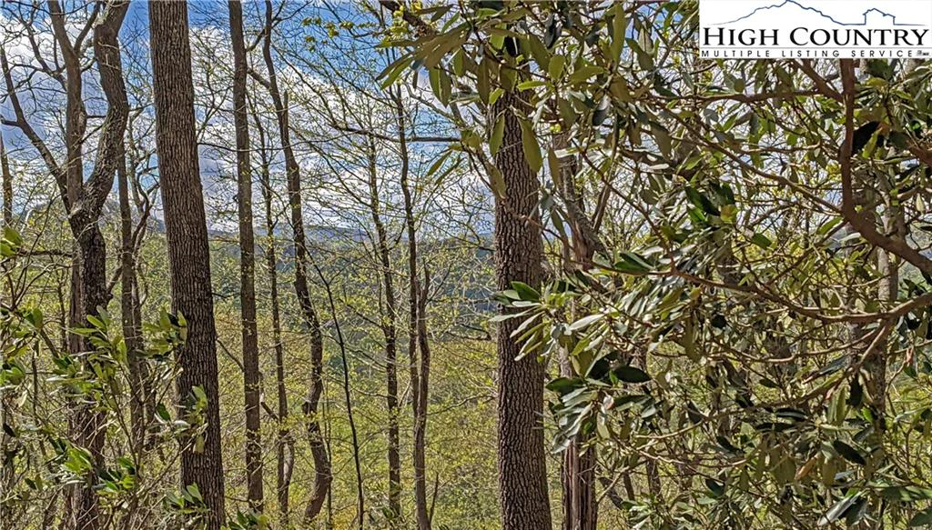 Image number 13 for the current listing
