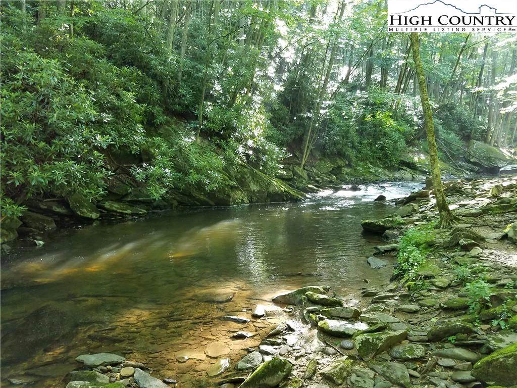Image number 11 for the current listing