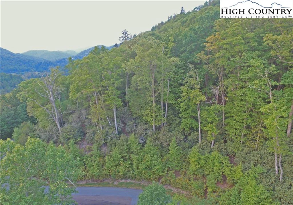 Image number 21 for the current listing