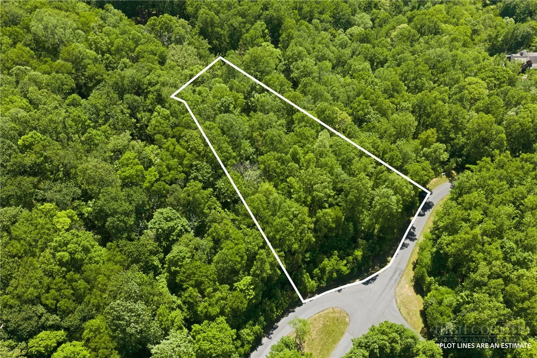Image number 2 for the current listing