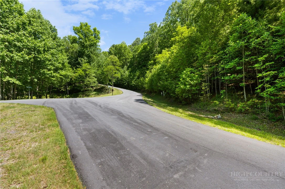Image number 5 for the current listing
