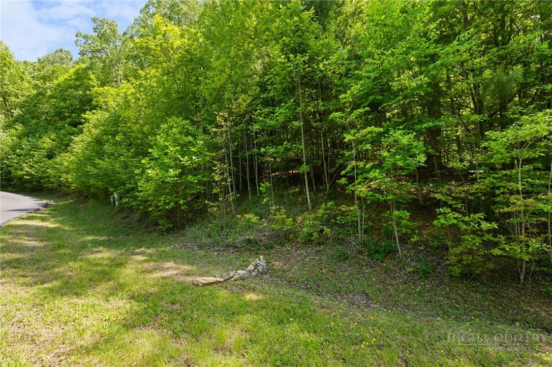Image number 7 for the current listing