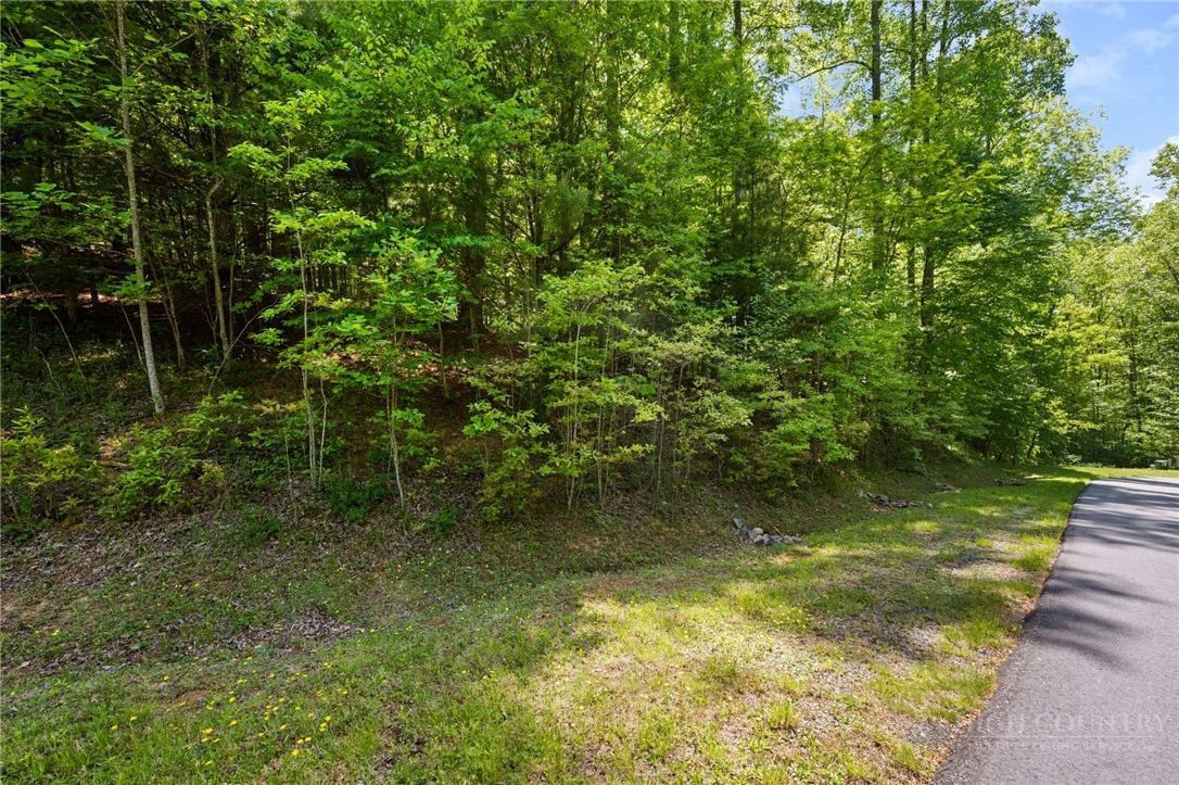 Image number 16 for the current listing