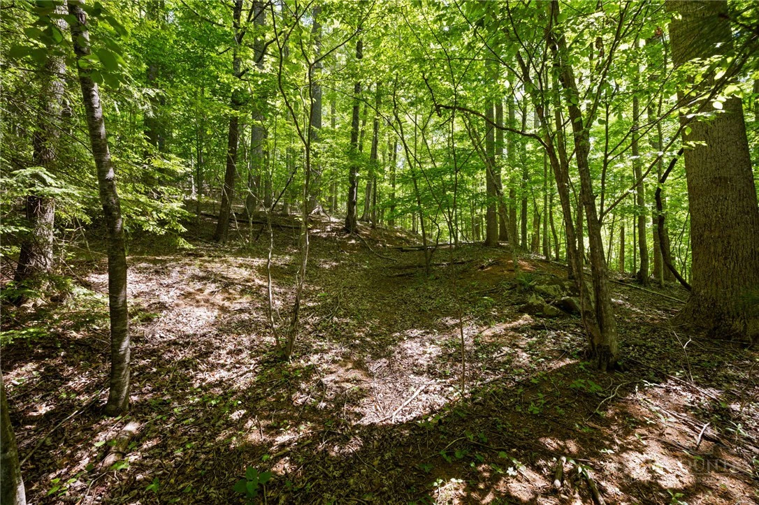 Image number 8 for the current listing