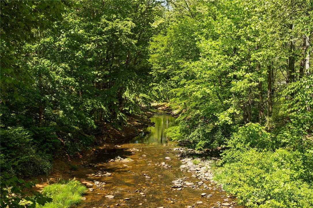 Image number 12 for the current listing