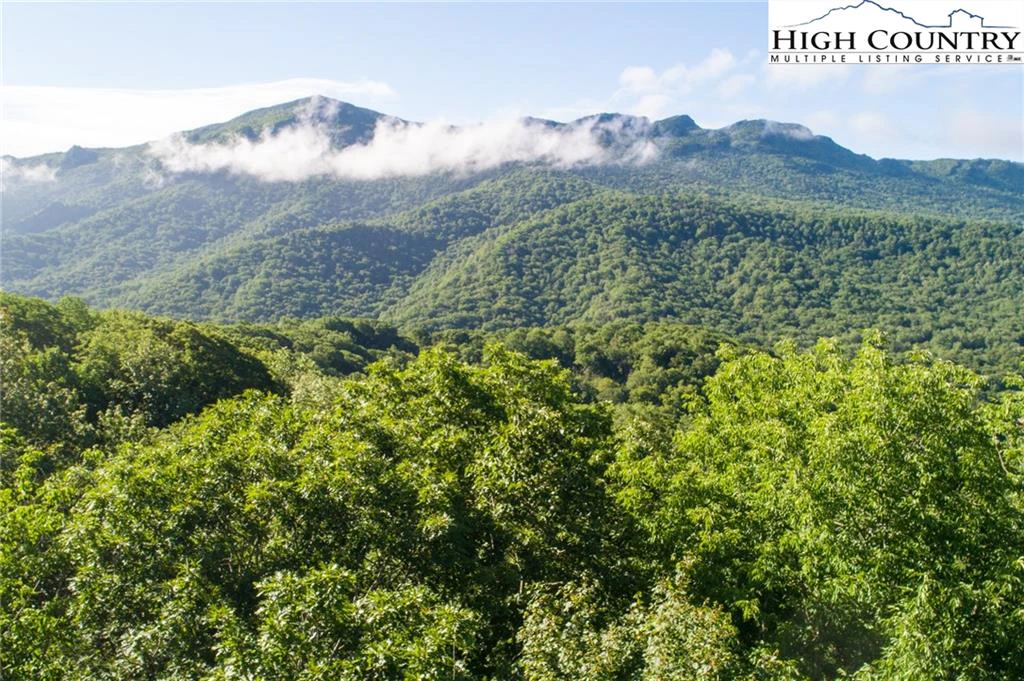 Image number 1 for the current listing