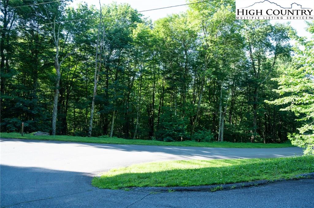 Image number 9 for the current listing