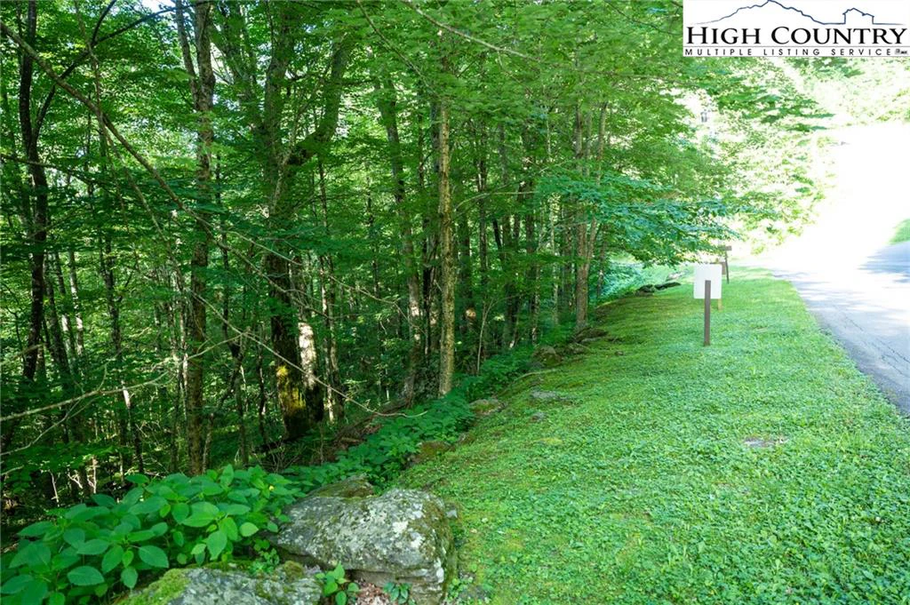 Image number 6 for the current listing