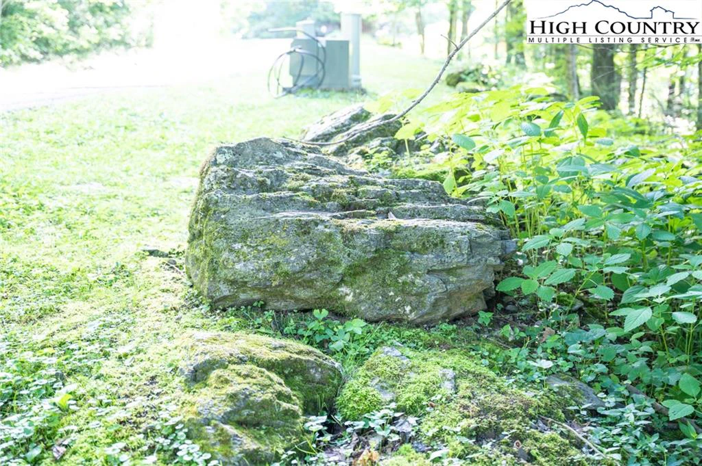 Image number 5 for the current listing