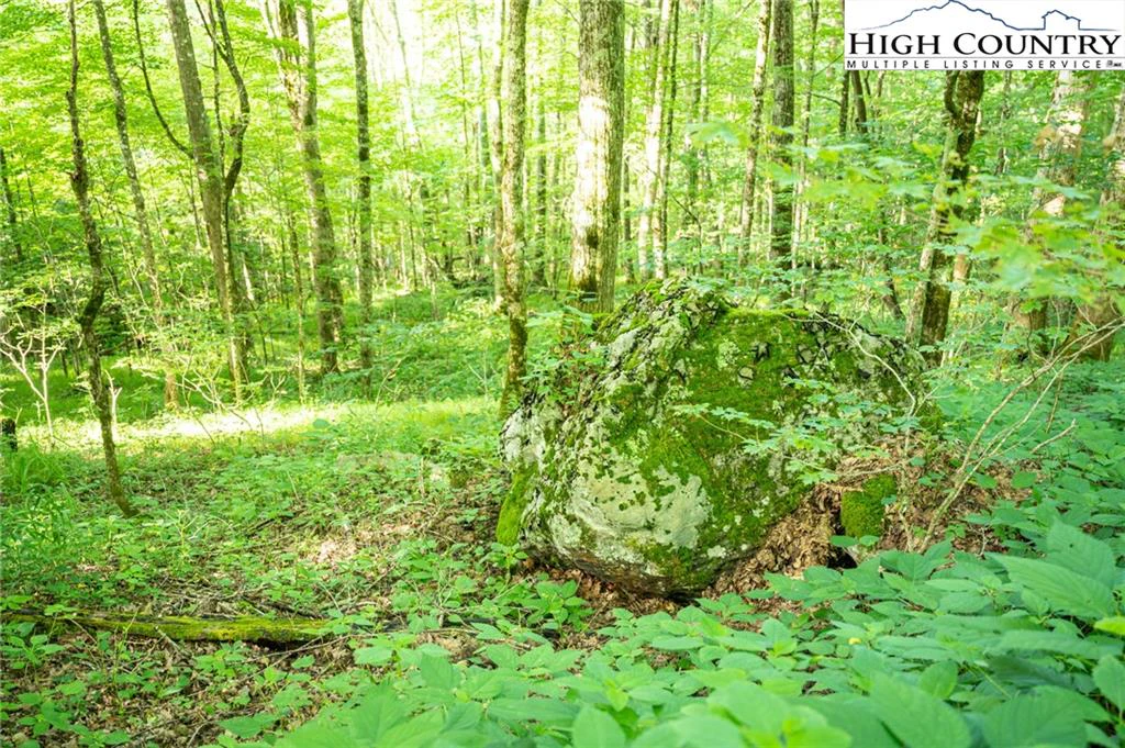 Image number 4 for the current listing