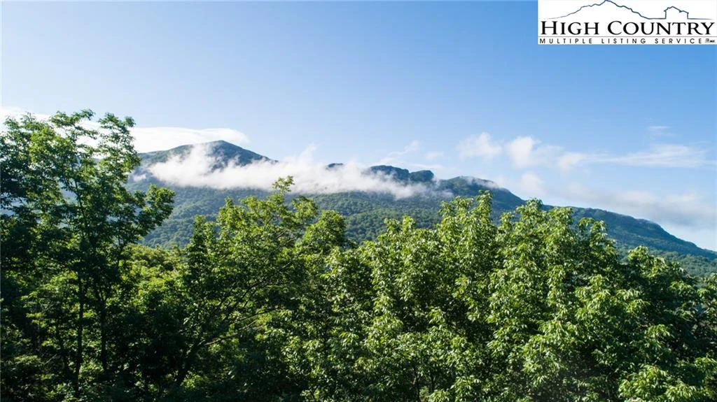 Image number 14 for the current listing
