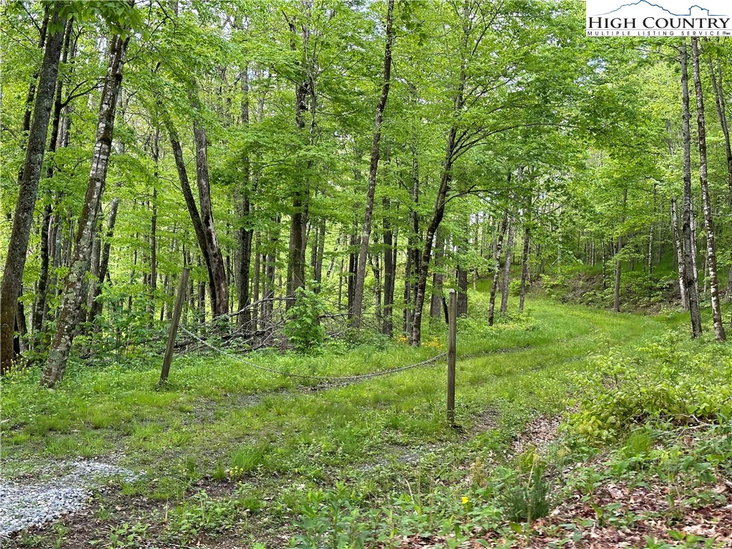 Image number 19 for the current listing