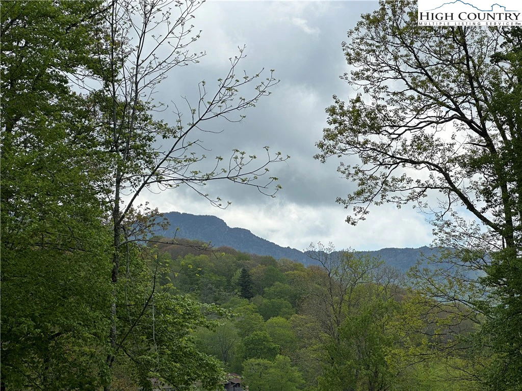 Image number 9 for the current listing