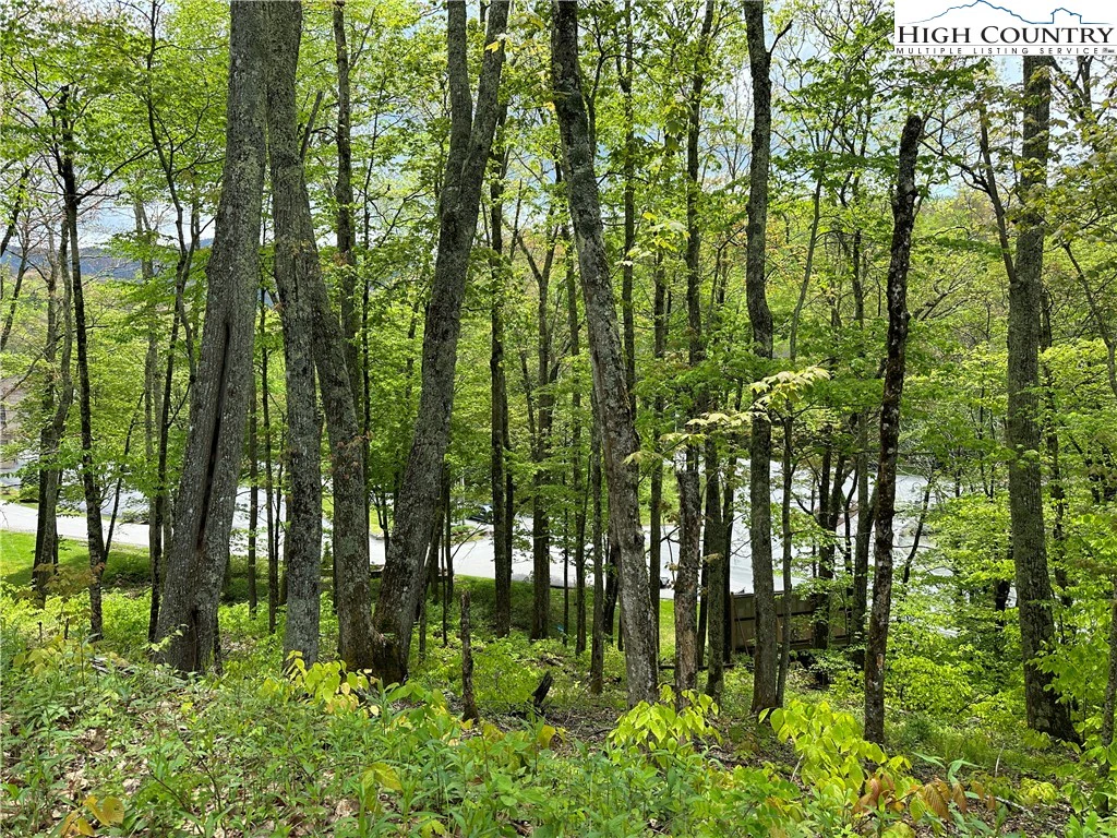 Image number 10 for the current listing