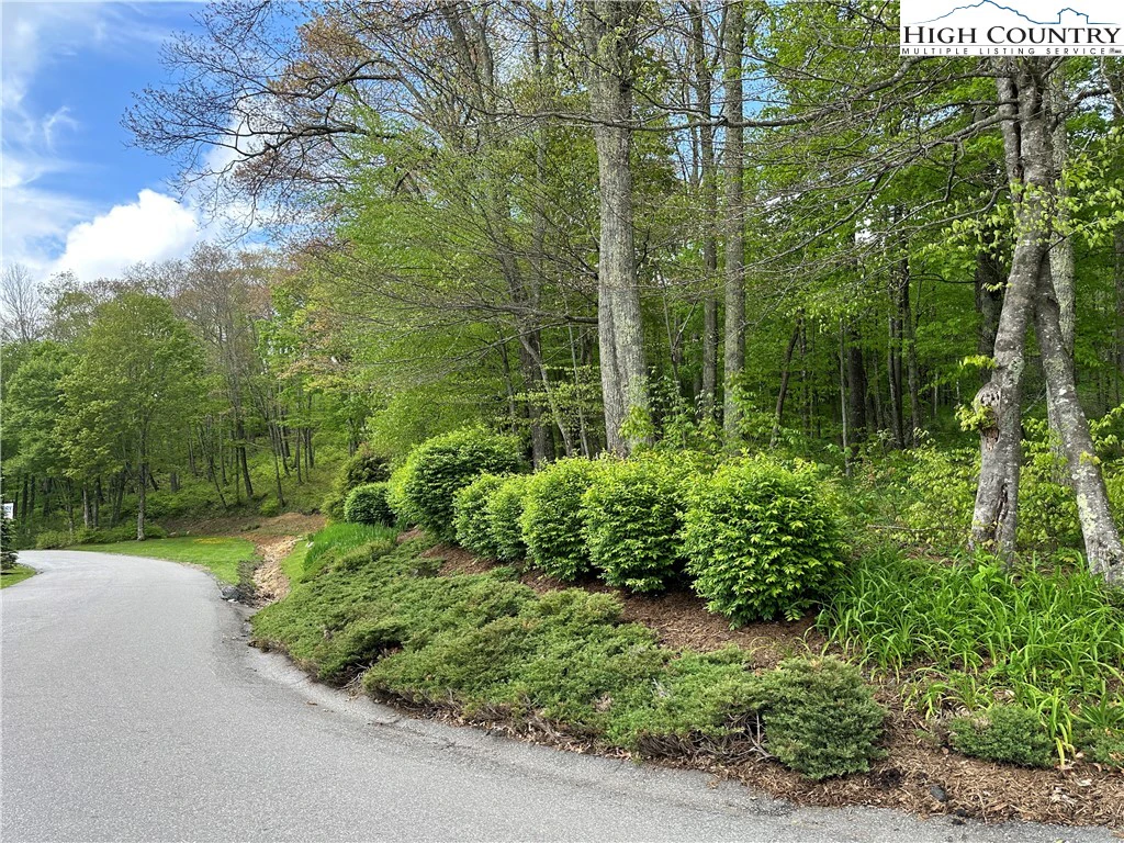 Image number 12 for the current listing