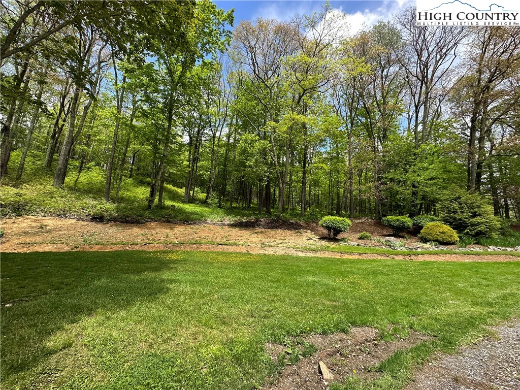 Image number 16 for the current listing