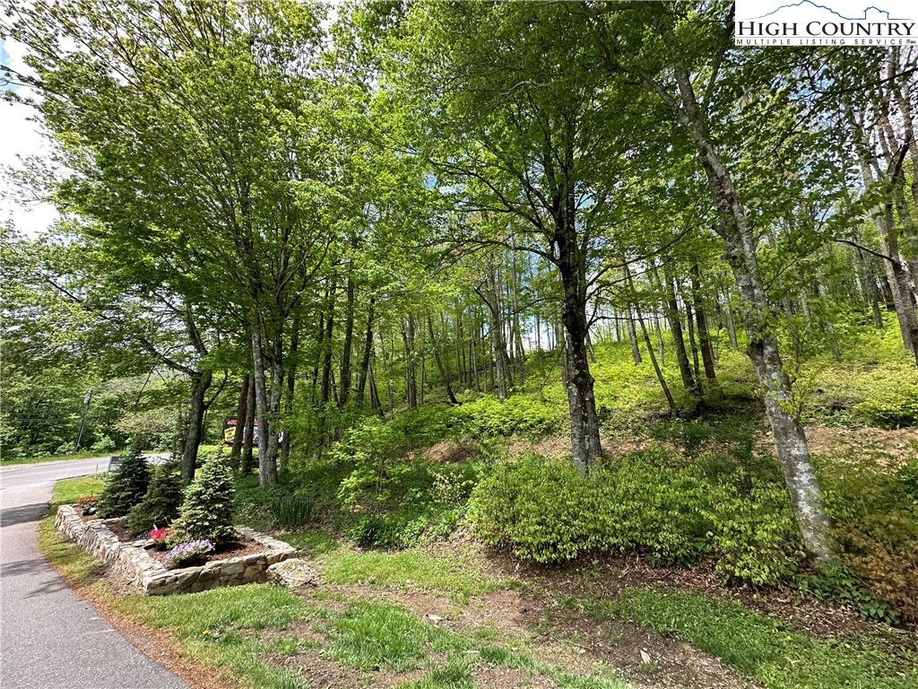 Image number 17 for the current listing