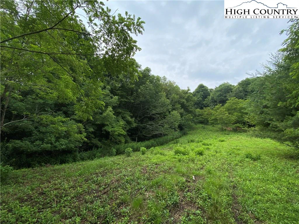 Image number 10 for the current listing
