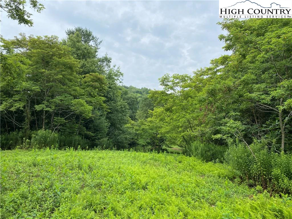 Image number 9 for the current listing
