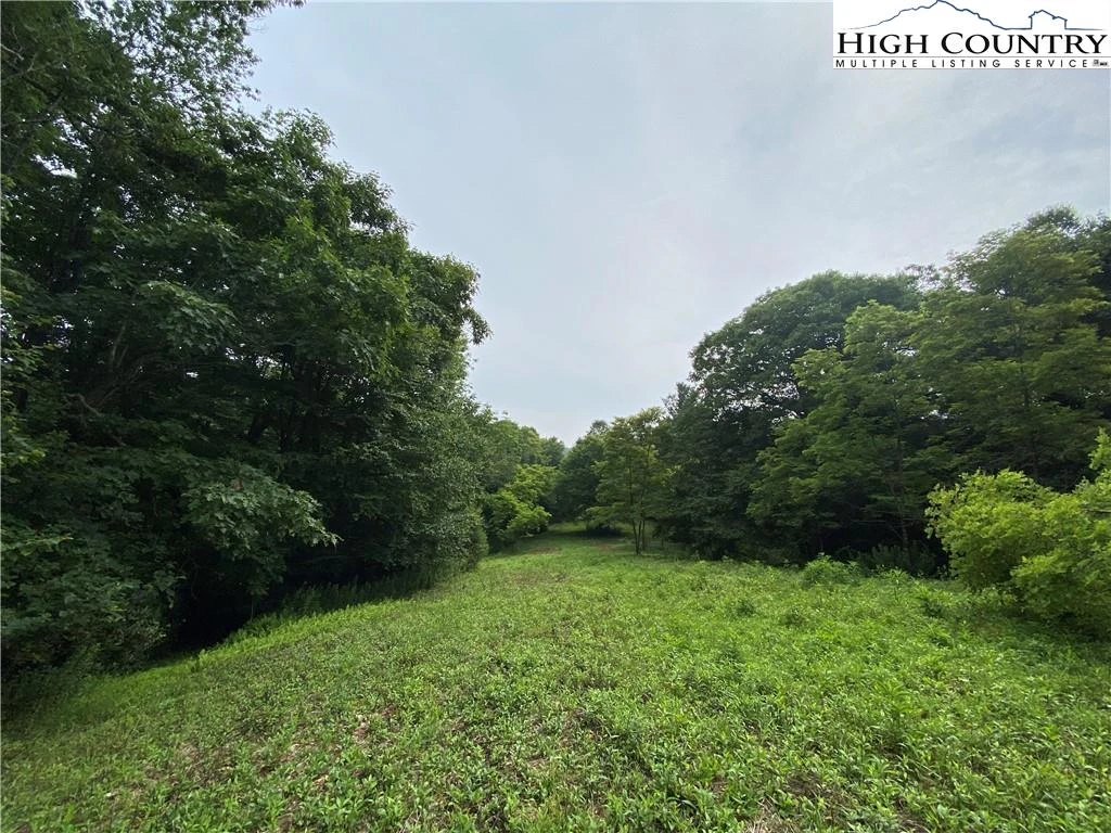 Image number 7 for the current listing