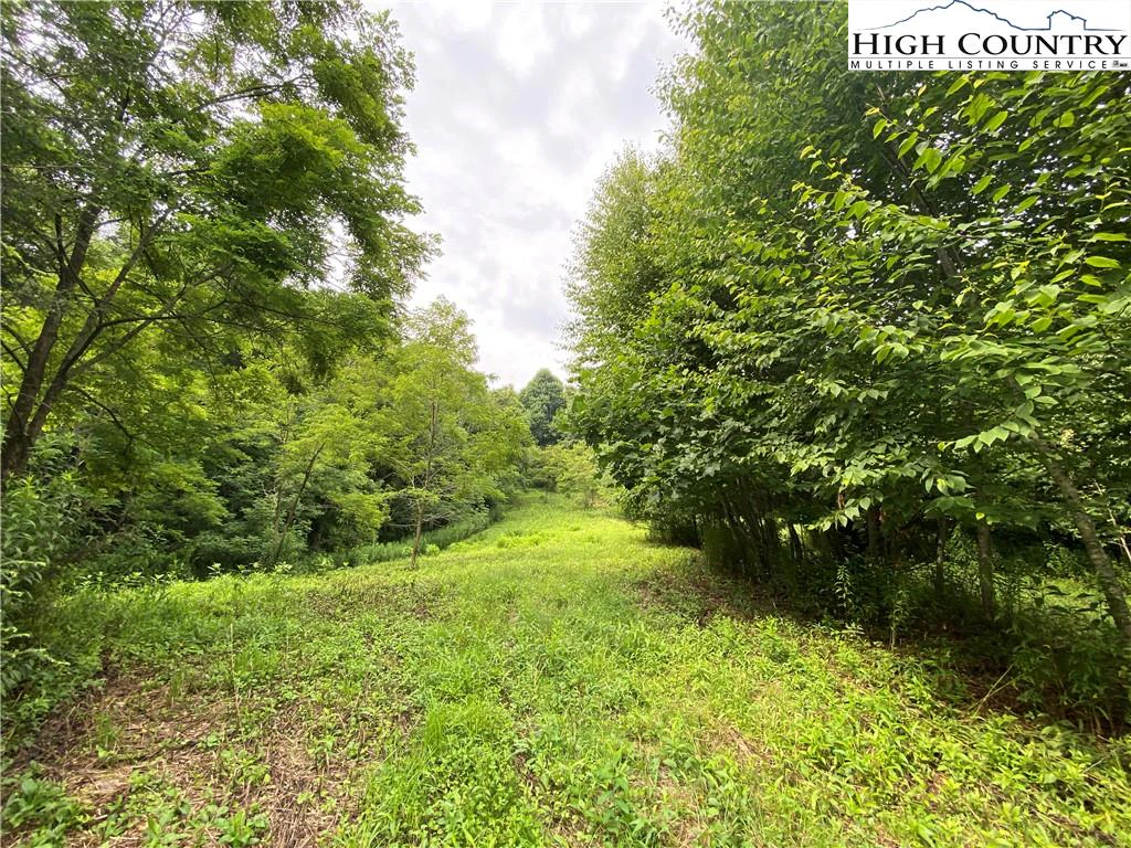 Image number 6 for the current listing