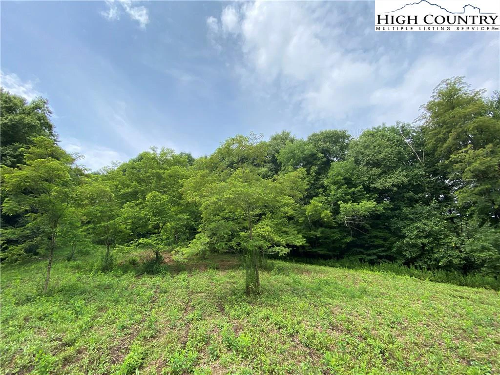 Image number 5 for the current listing