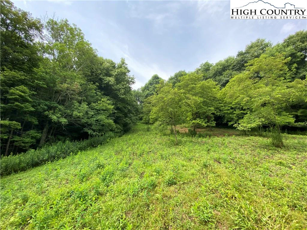 Image number 4 for the current listing