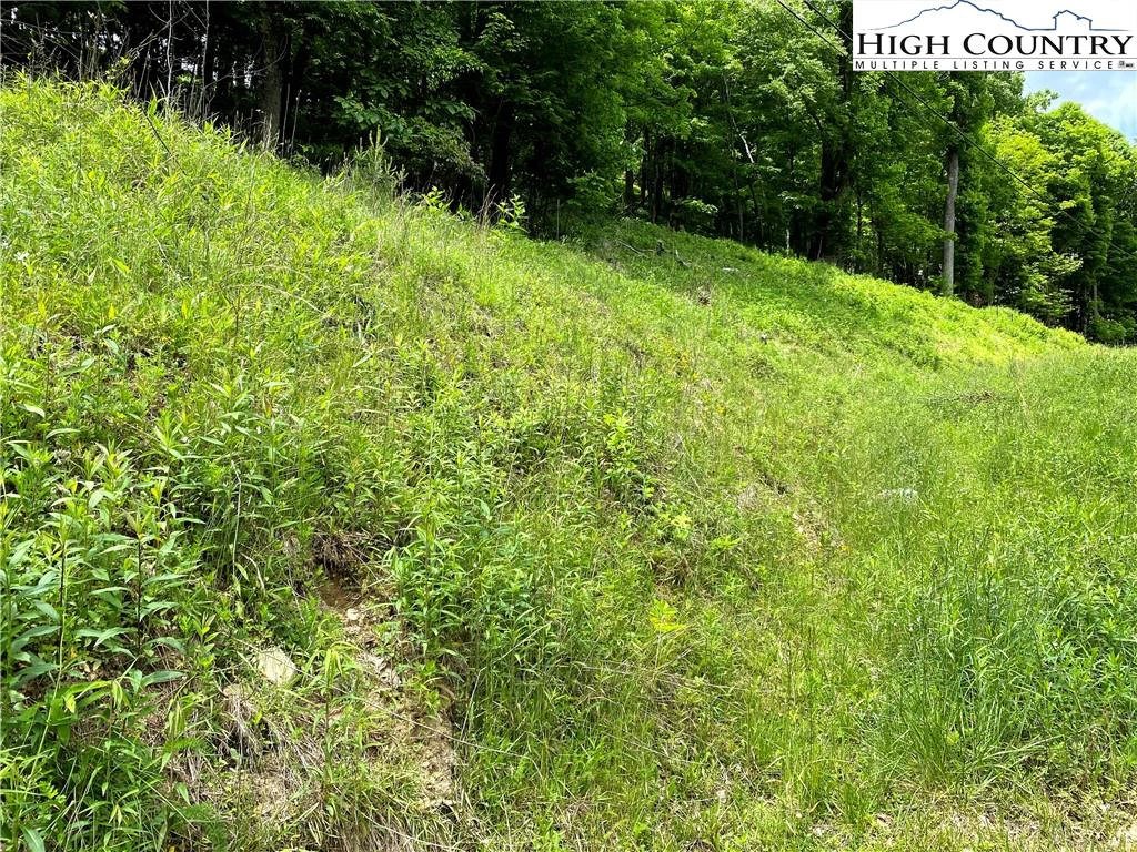 Image number 3 for the current listing