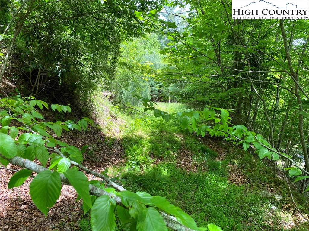 Image number 4 for the current listing