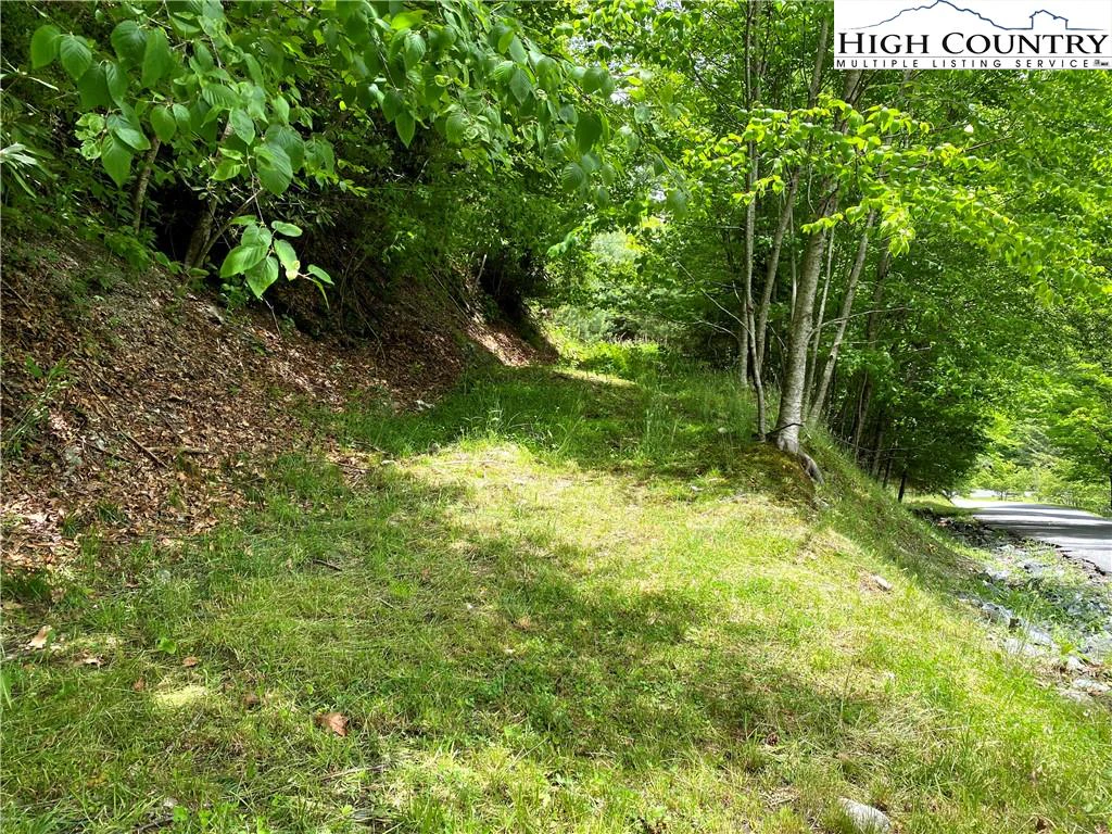 Image number 5 for the current listing