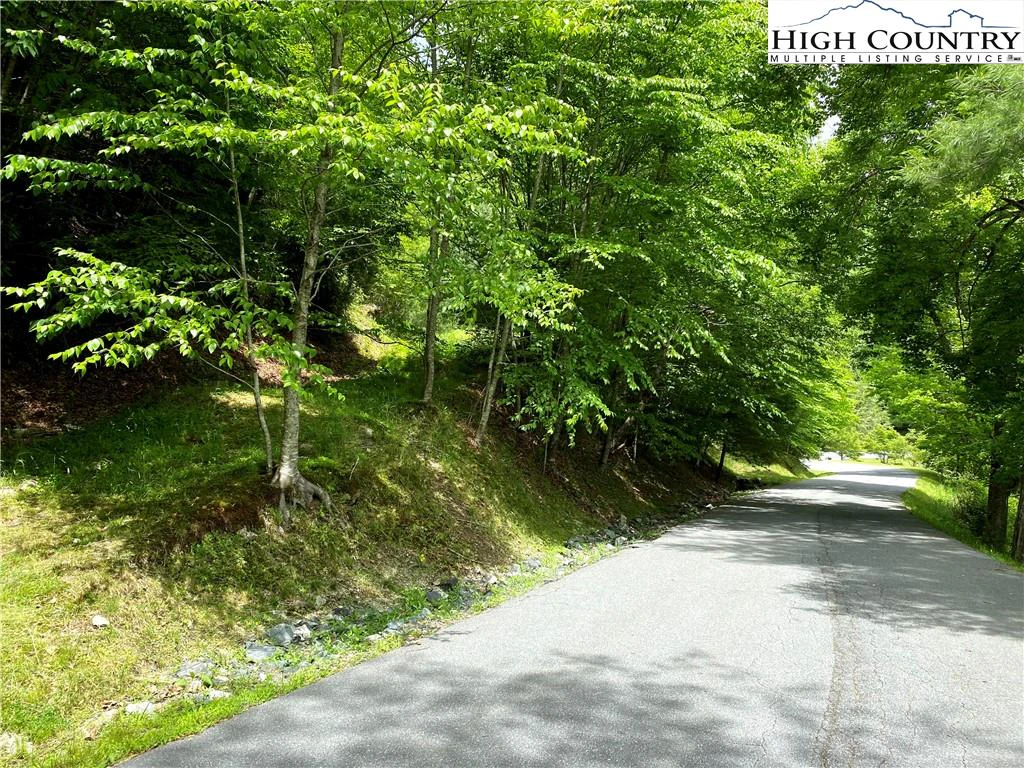 Image number 7 for the current listing