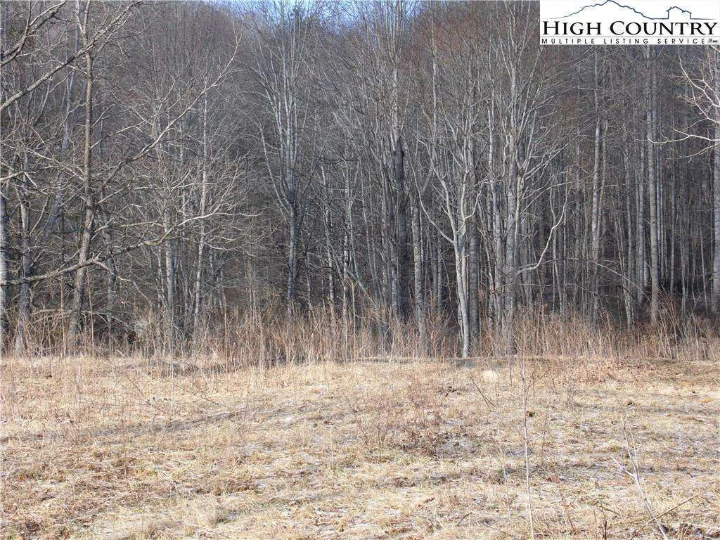 Image number 3 for the current listing