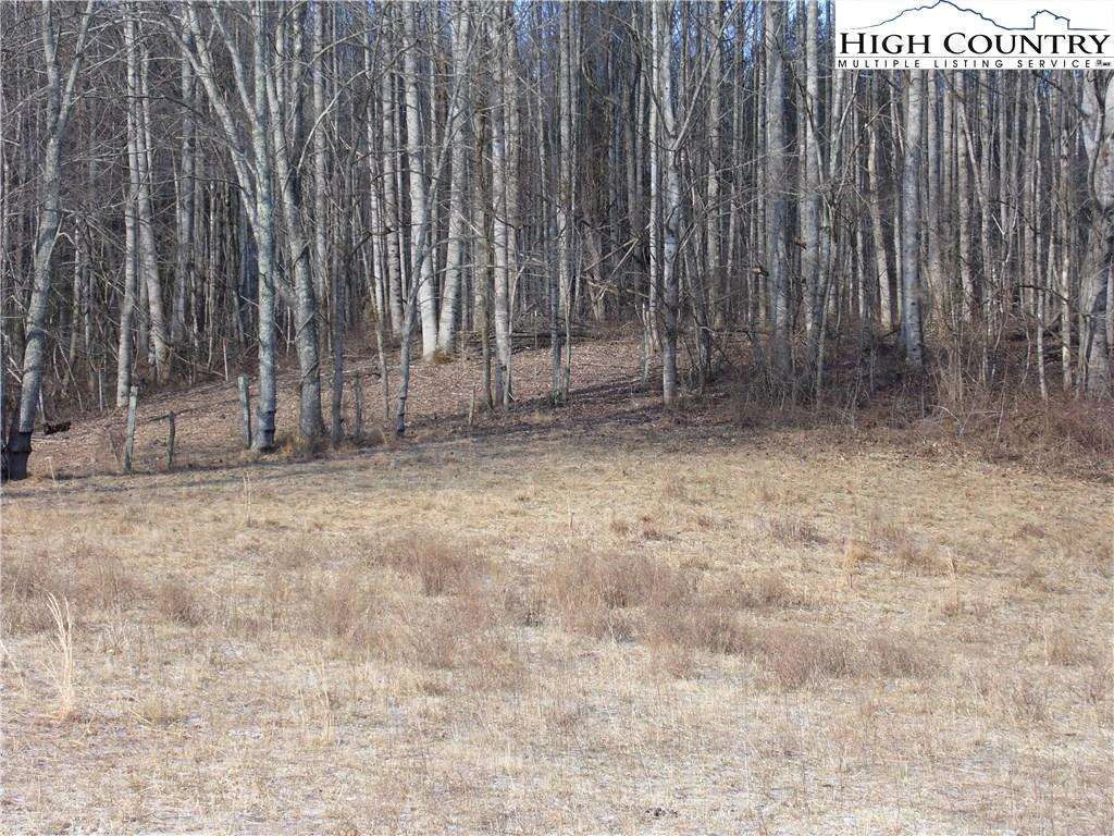 Image number 5 for the current listing