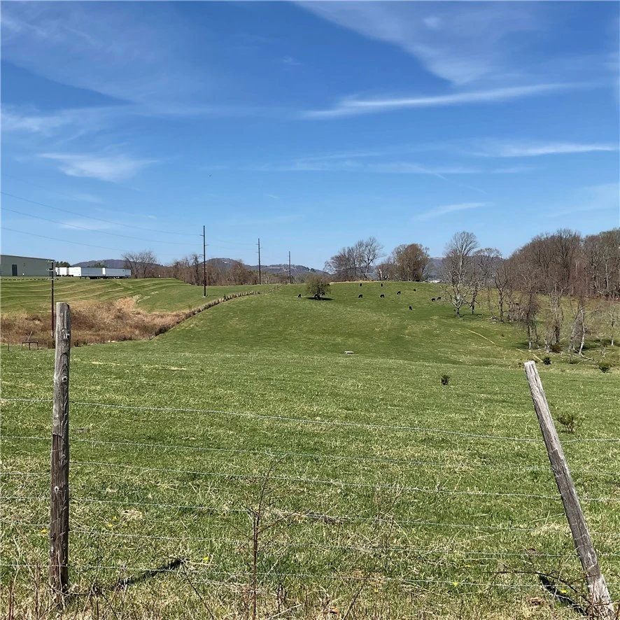 Image number 10 for the current listing