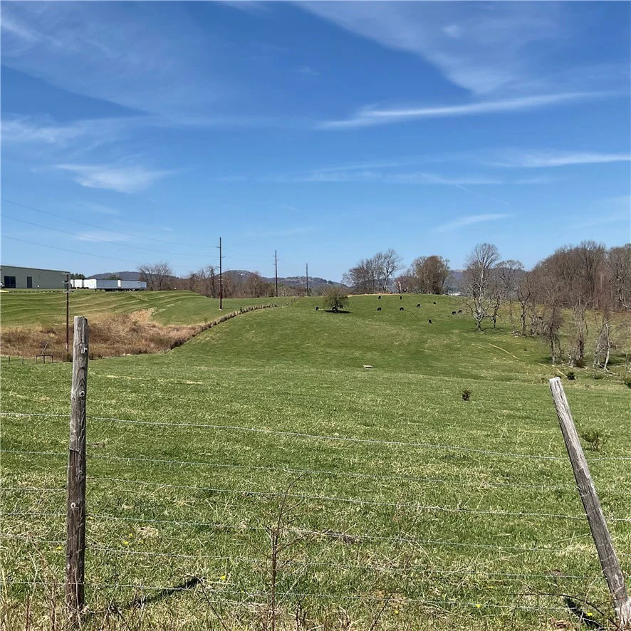 Image number 12 for the current listing