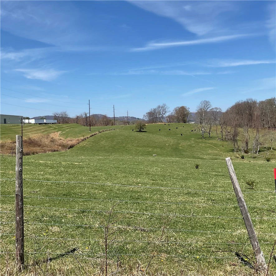Image number 13 for the current listing