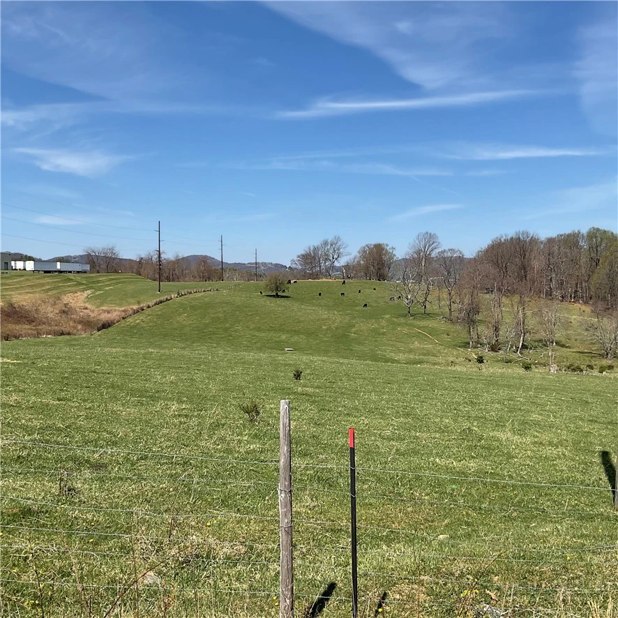 Image number 14 for the current listing