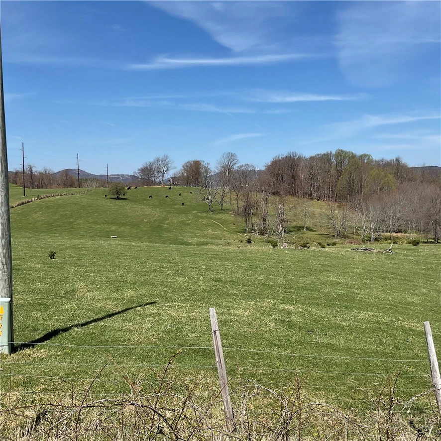 Image number 7 for the current listing