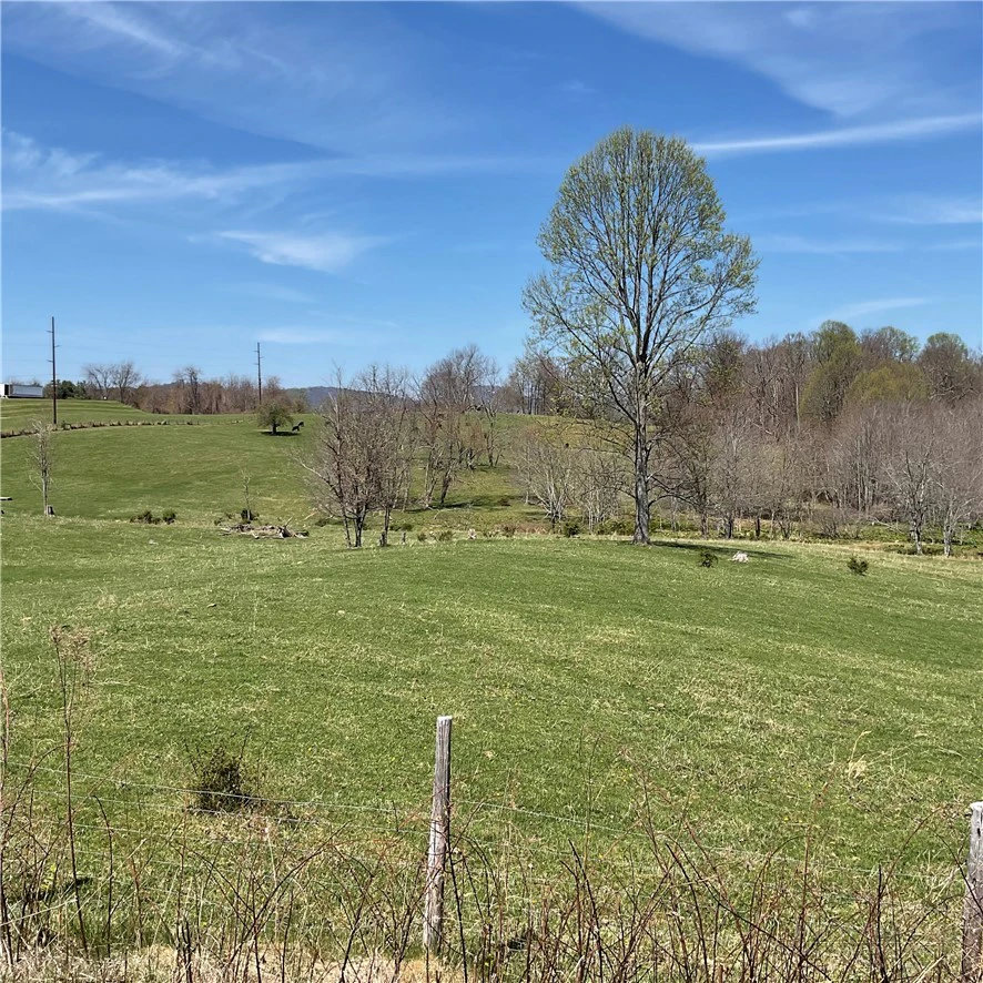 Image number 15 for the current listing