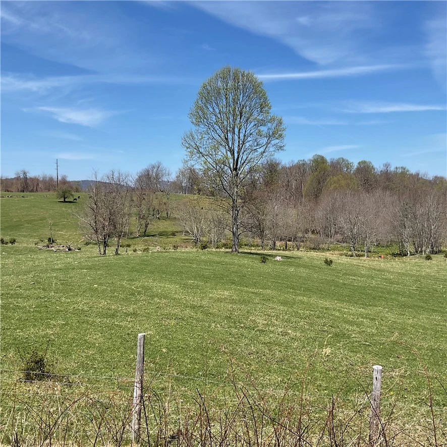 Image number 1 for the current listing
