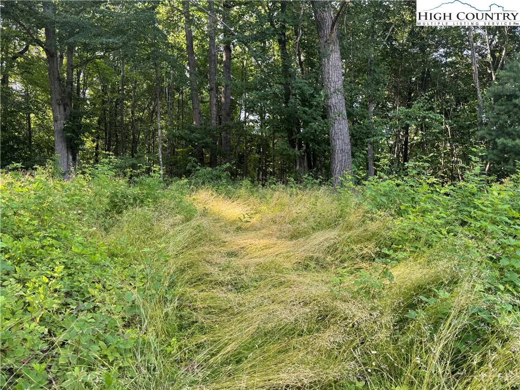 Image number 6 for the current listing