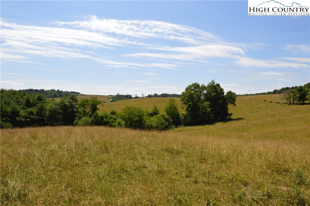 Image number 20 for the current listing
