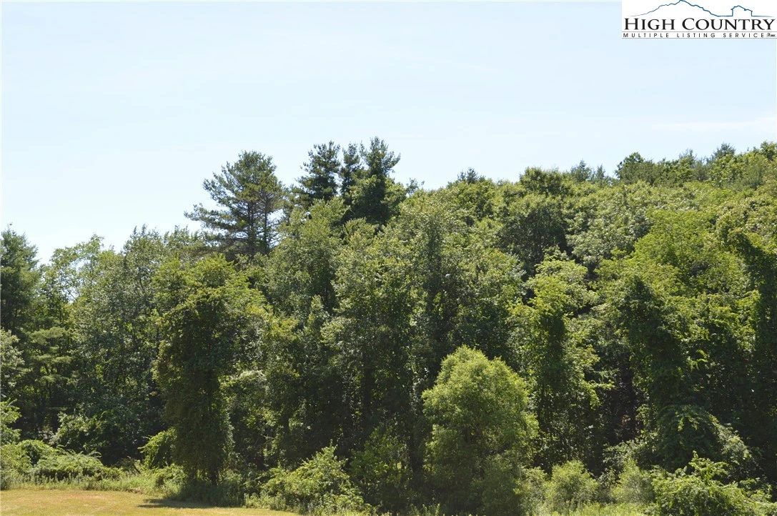 Image number 3 for the current listing