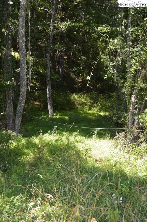 Image number 4 for the current listing