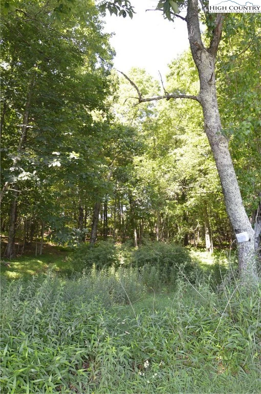 Image number 6 for the current listing