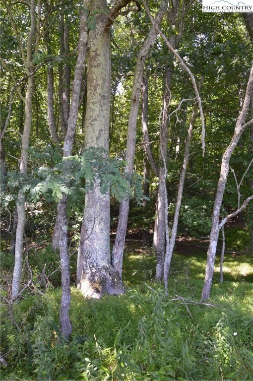 Image number 7 for the current listing