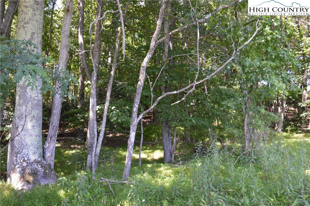 Image number 8 for the current listing