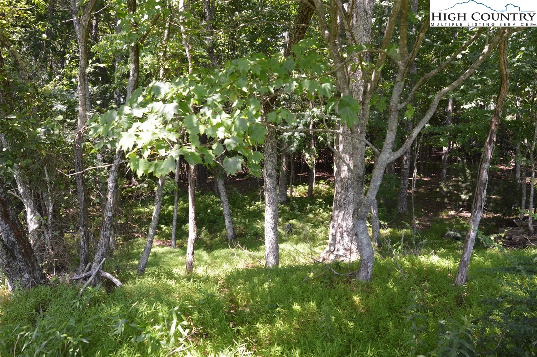Image number 9 for the current listing
